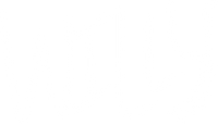 Willy Skate Co.